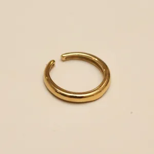 Gypsy Horn Ring