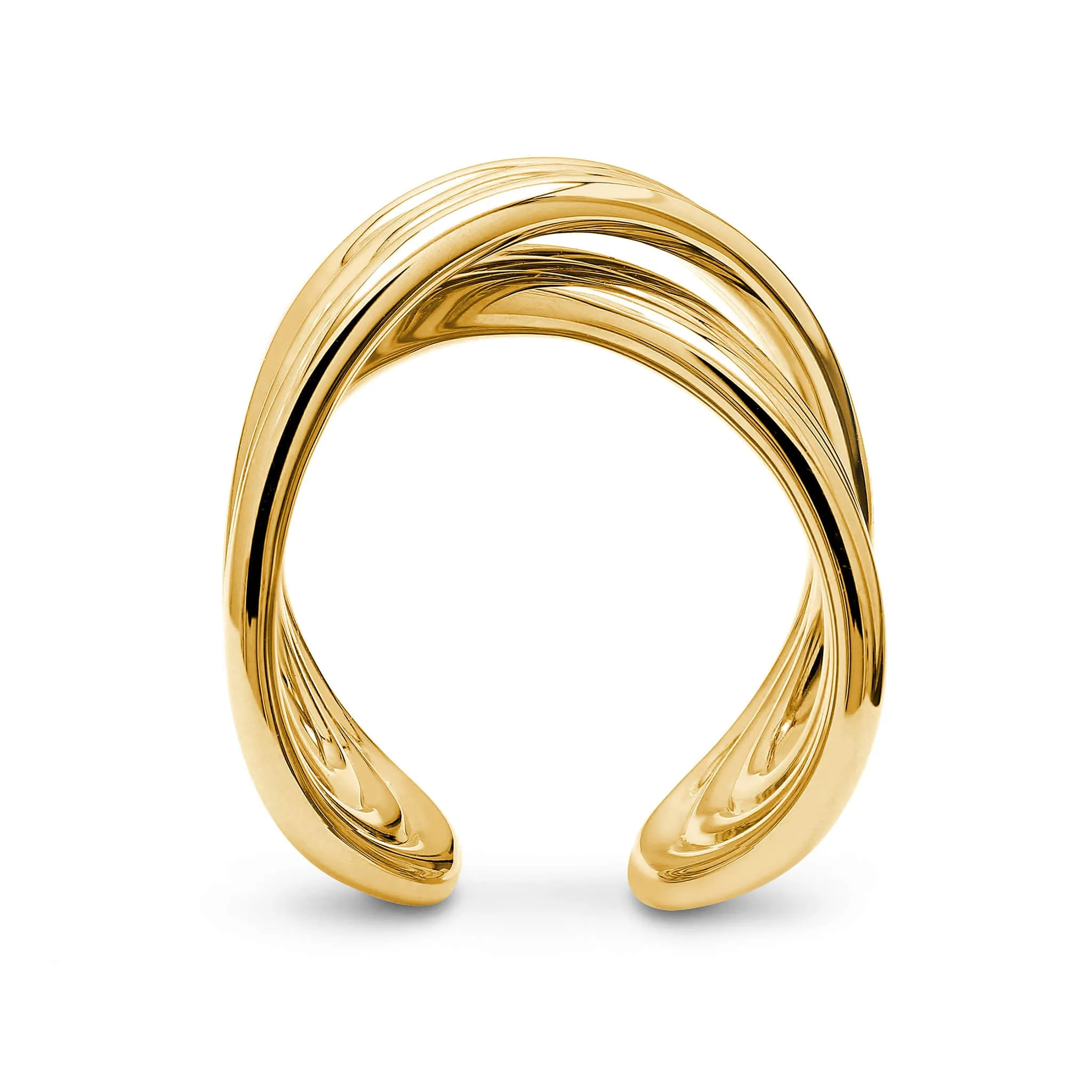 Infinity Fluet Ring