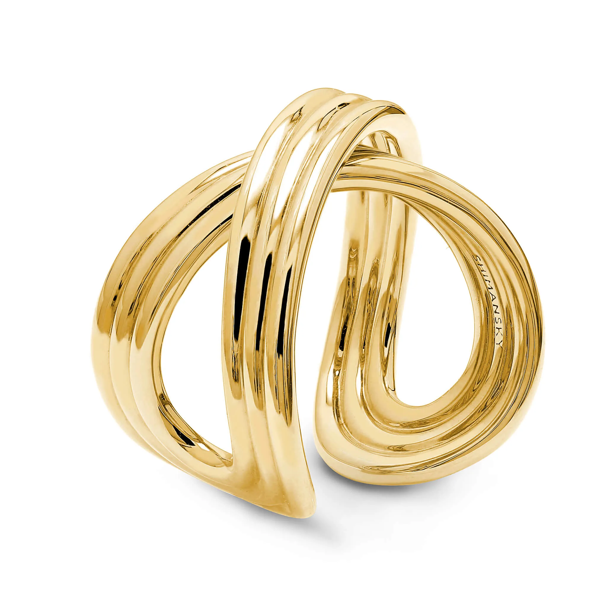 Infinity Fluet Ring