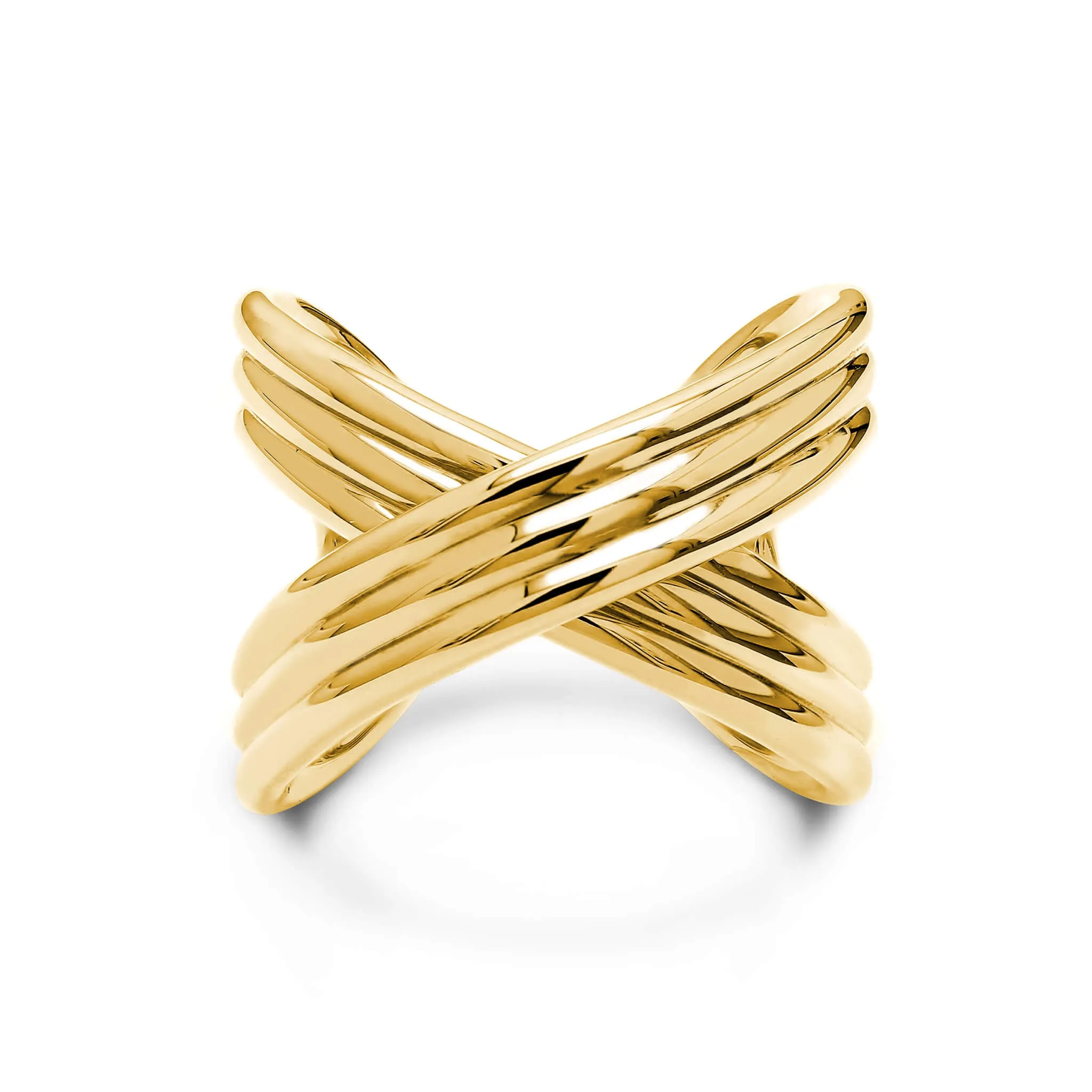 Infinity Fluet Ring